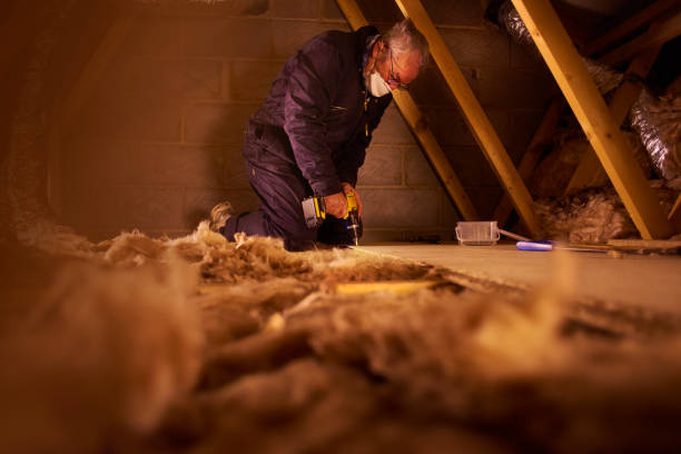 Best Insulation Maintenance and Repair in Arcanum, OH